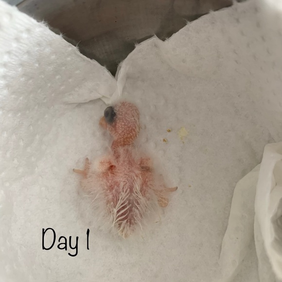 Meet your Posher, Karen - Picture 2 of 12